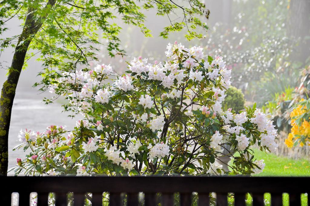 Charmilles Des Cordeliers Bed & Breakfast Paris Bagian luar foto